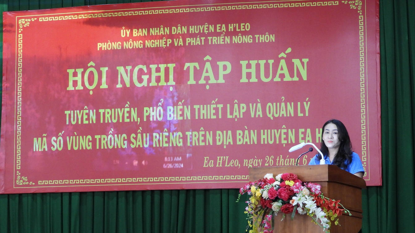 Tập huấn, tuyên truyền phổ biến thiết lập và quản lý mã số vùng trồng sầu riêng trên bàn huyện Ea H’Leo năm 2024